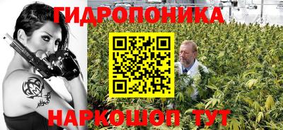 винт Дубна