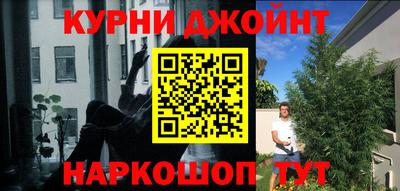 винт Дубна
