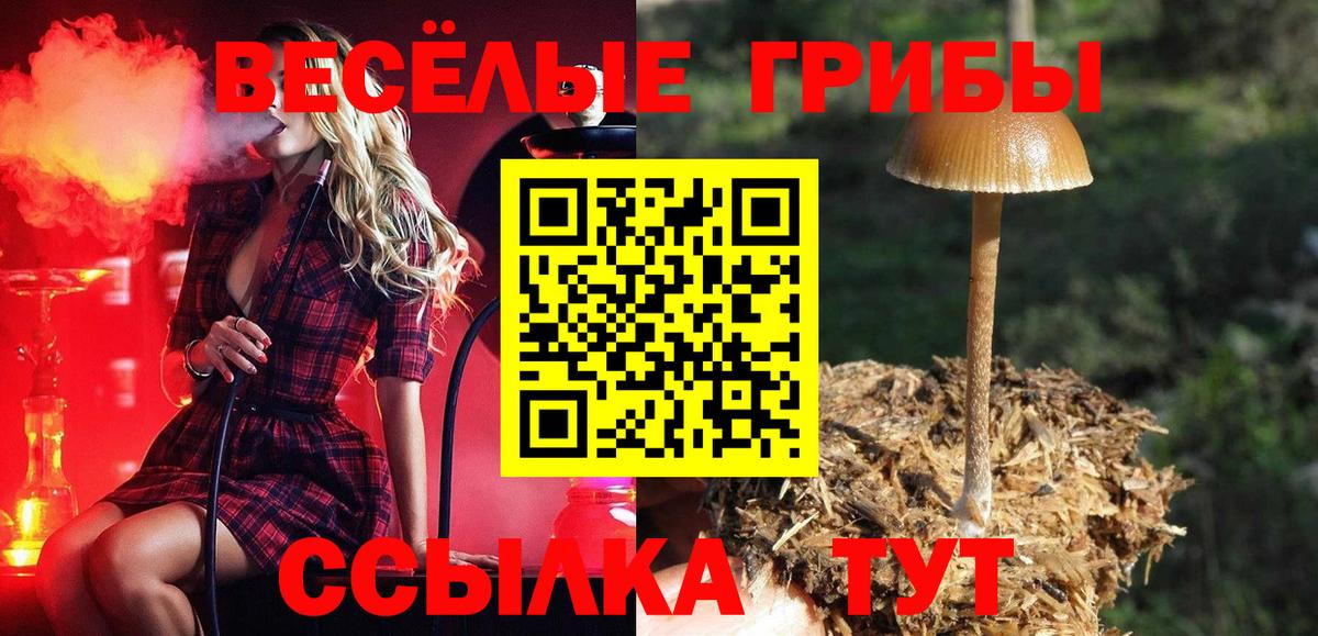 Псилоцибиновые грибы ЛСД  Вход с VPN  Лосино-Петровский 